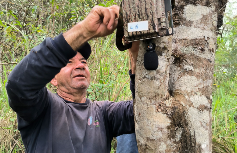 Tecnología Verde: Herramientas de IA que nos ayudan a innovar en la conservación